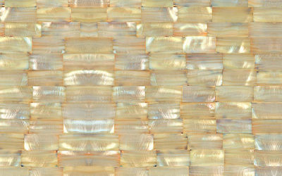 Shellstones